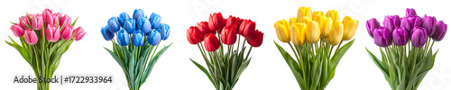 Set of lush tulip bouquets isolated on a transparent background PNG