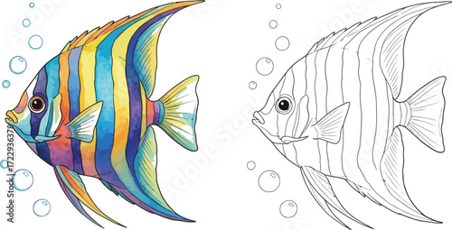  Colorful Striped Angelfish with Bubbles