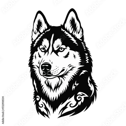 Siberian husky head isolated on white background. Vector illustration.