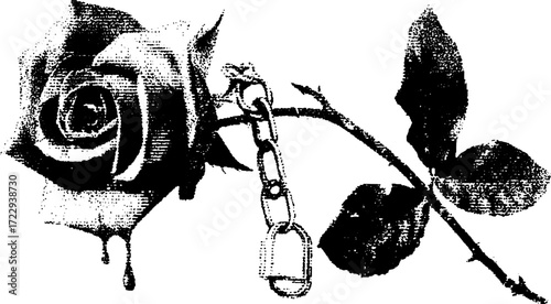 Black rose with a lock and chain. Simple vector illustration representing beauty and nature, featuring a distinct droplet effect.