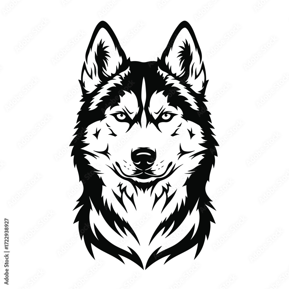 Fototapeta premium Siberian husky head isolated on white background. Vector illustration.