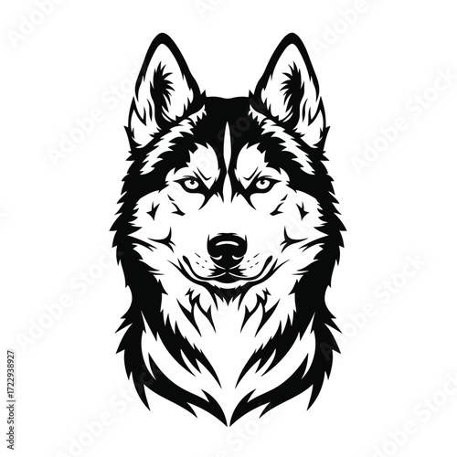 Siberian husky head isolated on white background. Vector illustration.