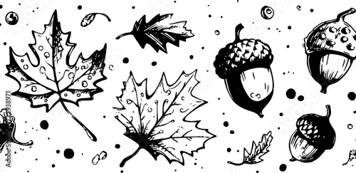 Leaves and acorns in black and white. Simple vector illustration featuring botanical motifs and seasonal elements in a decorative set.