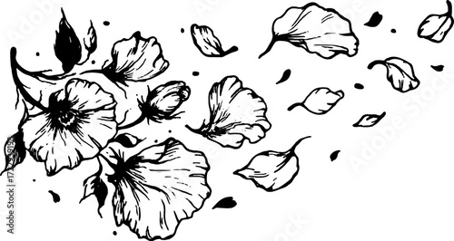 Flower petals in a hand-drawn sketch style. Simple botanical vector illustration set in black and white.
