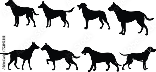 Versatile dogs silhouette collection, perfect for pet lovers, breeders, and animal themed designs, scalable due to its vector origin, great for logos