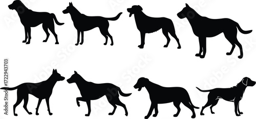Dog breeds silhouette set, a great collection of popular dog breeds to add to any project or design, with clean lines and a modern look for various uses
