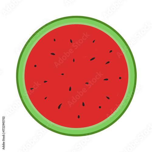 watermelon vector illustration