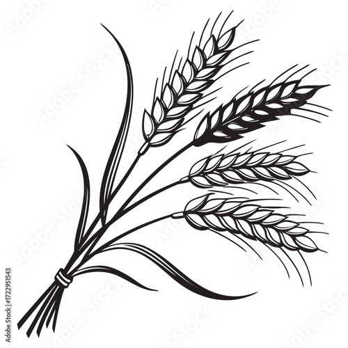 Illustration of a bundle of wheat stalks tied together with leaves in black and white drawing style created with generated ai