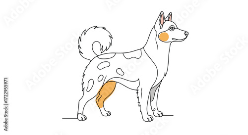 A distinctive purebred canine stands alert and poised exhibiting its unique spotted coat and fluffy tail.
