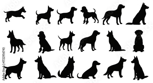Silhouette illustration showing various dog breeds in different poses and orientations on a white background
