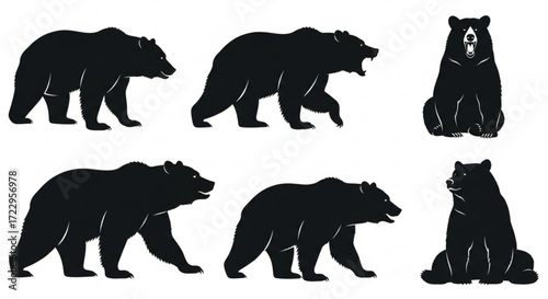 Silhouettes of bears in various poses including standing walking and sitting on a white background illustration