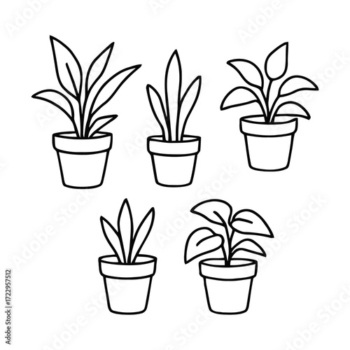 Simple potted plants line art collection adds fresh botanical touch to your designs and creative projects
