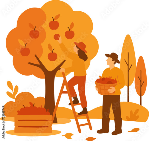 people picking fresh harvest from apple trees in autumn. Farmer with basket gathering local crops from orchard plant. Colored flat graphic vector illustration isolated on white background