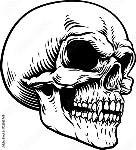 A human skull angry grim reaper skeleton head in a vintage woodcut style.