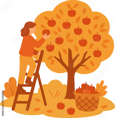 people picking fresh harvest from apple trees in autumn. Farmer with basket gathering local crops from orchard plant. Colored flat graphic vector illustration isolated on white background