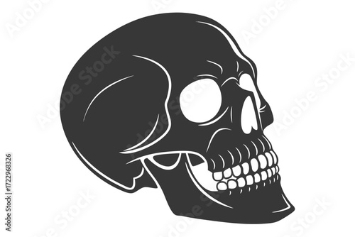 Silhouette of a Human Skull in Profile skeleton head