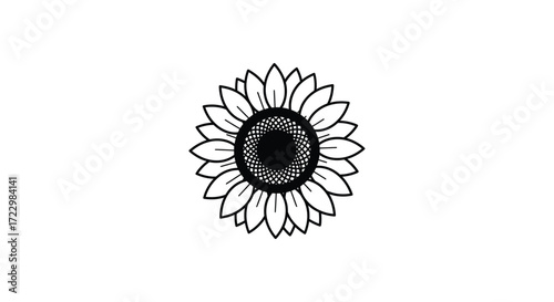 Detailed sunflower illustration with intricate petal and seed patterns silhouette