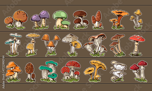 Cartoon mushroom stickers set. Cute autumn fungi collection in doodle style. Colorful forest mushrooms vector illustration