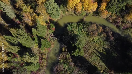 Flight over the autumn Siberian forest