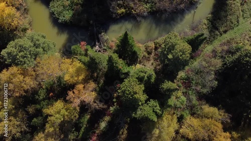 Flight over the autumn Siberian forest