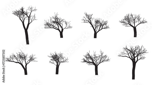 Bare Tree Vector Illustrations – Collection of Leafless Tree Silhouettes
