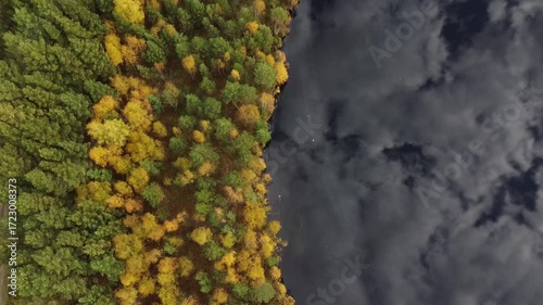 flight over an autumn lake and trees