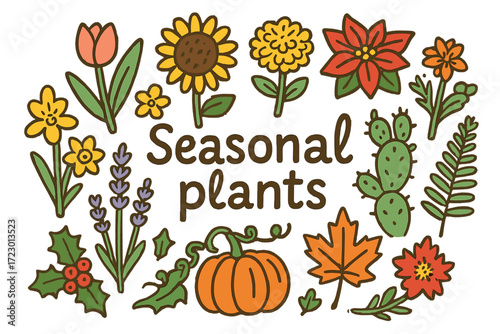 Doodle Seasonal Plants. Seasonal plants. Hand-drawn doodle illustration of seasonal plants. Tulip, sunflower,