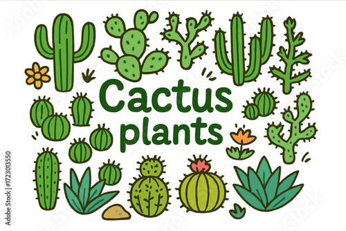 Colorful Cactus Doodles. Cactus plants. Hand-drawn doodle illustration of cactus plants. Saguaro, prickly pear