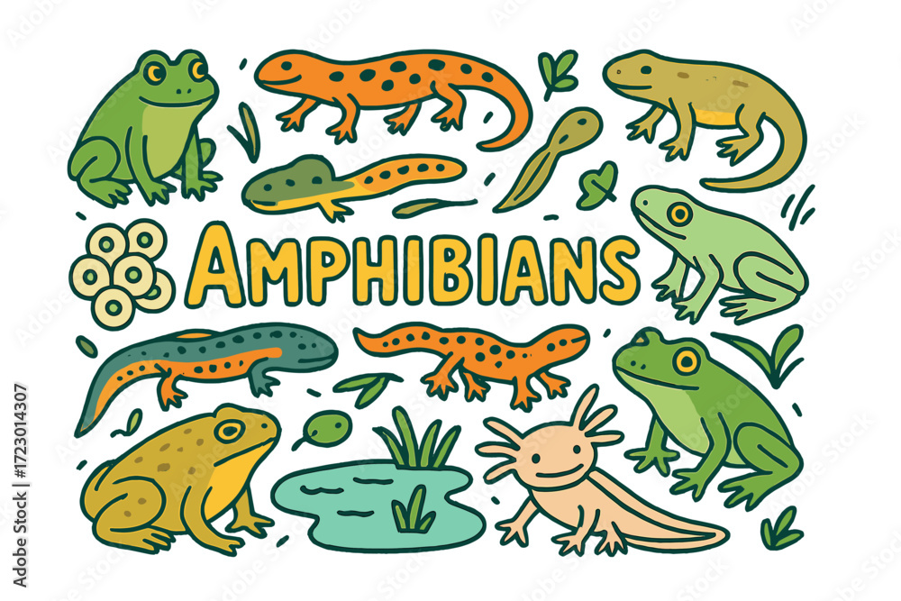 Naklejka premium Colorful Amphibians Doodle. Amphibians. Hand-drawn doodle illustration of amphibians. Frog, salamander, newt,