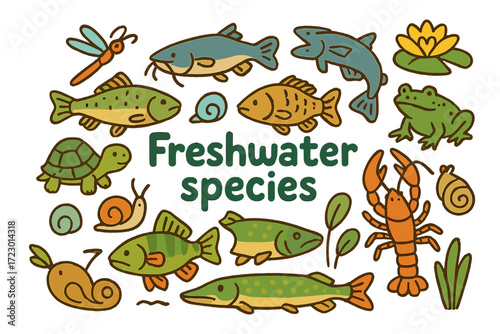 Freshwater Fauna Doodle. Freshwater species. Hand-drawn doodle illustration of freshwater species. Trout,