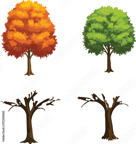 Autumn tree with orange foliage, lush green summer tree illustration, bare winter tree branches, early spring seasonal tree artwork, botanical vegetation design