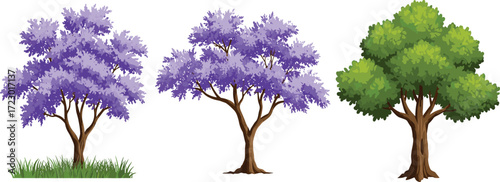 Purple foliage tree illustration, lush green deciduous tree artwork, exotic landscape plants, colorful botanical vegetation, tropical nature drawing, detailed seasonal tree design