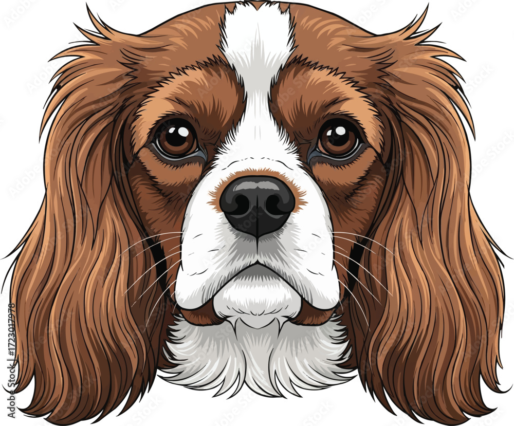Naklejka premium Cavalier King Charles Spaniel dog cute face headshot portrait