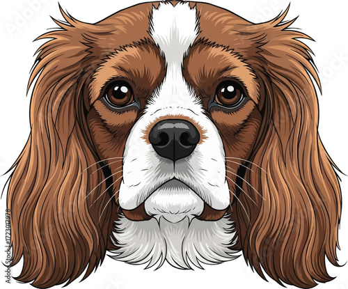 Cavalier King Charles Spaniel dog cute face headshot portrait