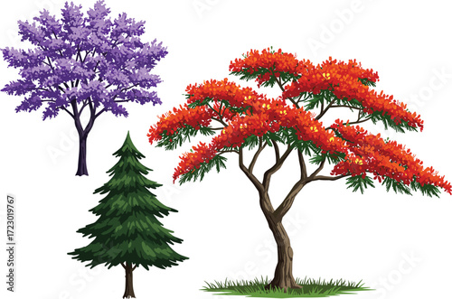 Purple foliage tree illustration, evergreen conifer pine tree artwork, autumn deciduous tree with red orange leaves, seasonal botanical vegetation design
