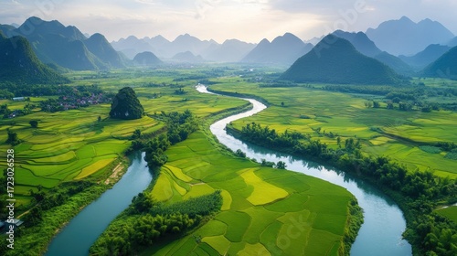Serpentine river meanders through lush green rice paddies and karst mountains under a soft sky