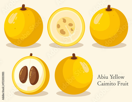 Abiu Yellow Caimito Fruit Botanical Clipart Healthy Exotic Tropical Nutrition Vegan Sweet Fresh Food Realistic Art