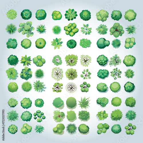 Ensemble d'Icônes d'Arbres et d'Arbustes pour Plans de Jardins et Architecture Vus de dessus, Nature et Végétation Couleur Vert Vecteur