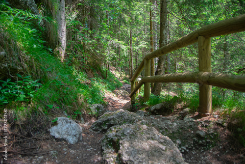 Stone pathway with wooden railing in scenic natural setting