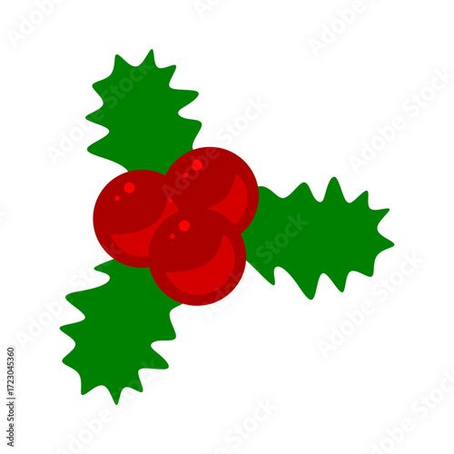 holly berries and leaves vector