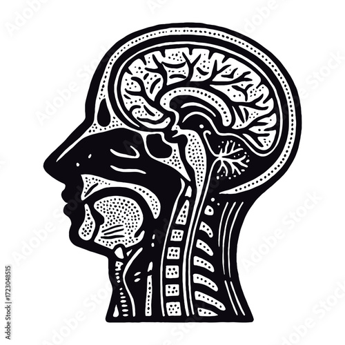 Human brain anatomy engraving style black on white vector illustration