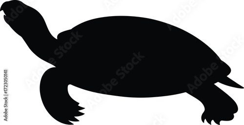 Black silhouette of a turtle walking reptile animal