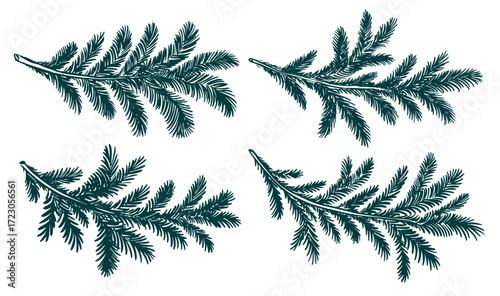 Christmas green tree branch set, hand drawn