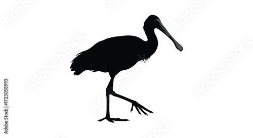 A striking black bird with long legs presented as a silhouette