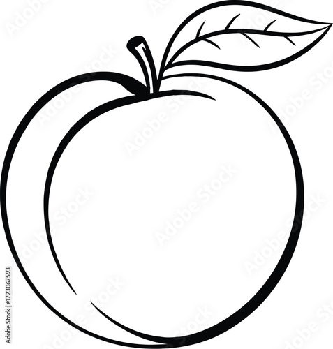 Simple outline drawing of a fresh peach with a leaf