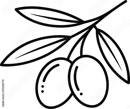 Simple hand drawn outline of an olive branch with two olives