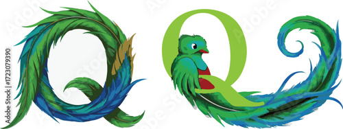 Quetzal Bird Feather Letter Q Illustration