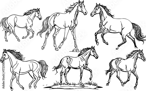 Vector illustration of horse line art set with running horse sketch perfect for coloring book animal drawing equestrian design and wild animal outline
