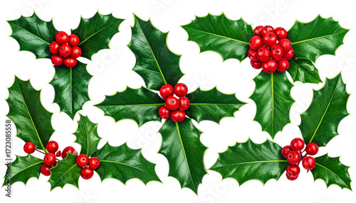  Decorative Holly Branches with Berries, Winter and Holiday Ornament, Transparent PNG