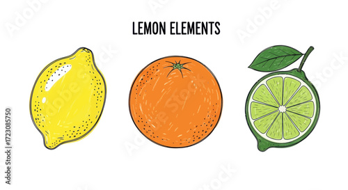 Illustration of a lemon, an orange, and a lime, showcasing citrus fruit elements.